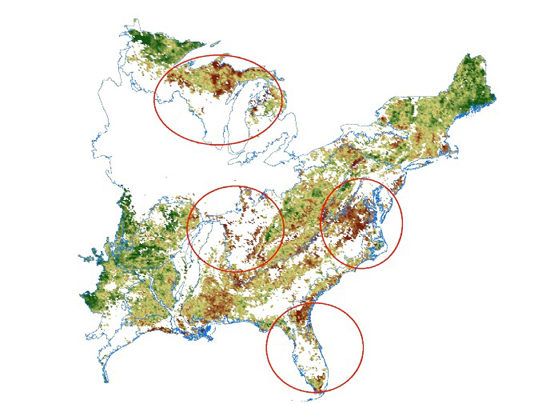 Trends in forest canopy green cover over the eastern U. S. region from 2000 to 2010 derived from NASA MODIS satellite sensor data. Green shades indicate a positive trend of increasing growing season green cover, whereas brown shades indicate a negative trend of decreasing growing season green cover. Four forest sub-regions of interest are outlined in red, north to south as: Great Lakes, Southern Appalachian, Mid-Atlantic, and southeastern Coastal Plain. Image credit: NASA