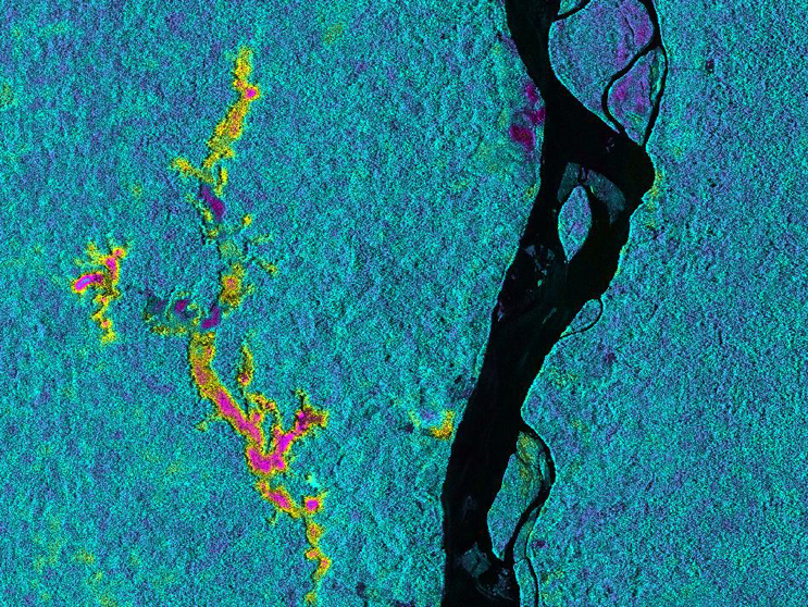 On March 17, 2013, NASA’s Uninhabited Aerial Vehicle Synthetic Aperture Radar (UAVSAR) acquired synthetic aperture radar data over the Napo River in Ecuador and Peru. Image credit: NASA/JPL-Caltech