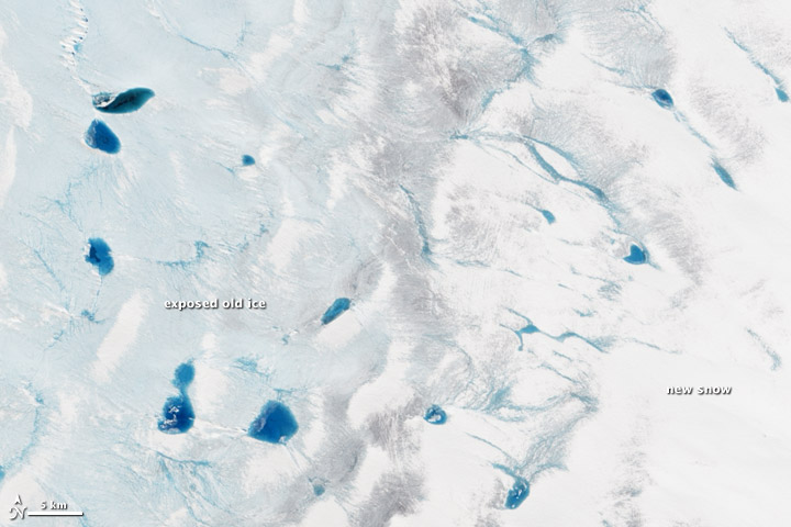 NASA Earth Observatory image by Jesse Allen and Robert Simmon, using Landsat 8 data from the U.S. Geological Survey. Caption by Holli Riebeek. Download large image