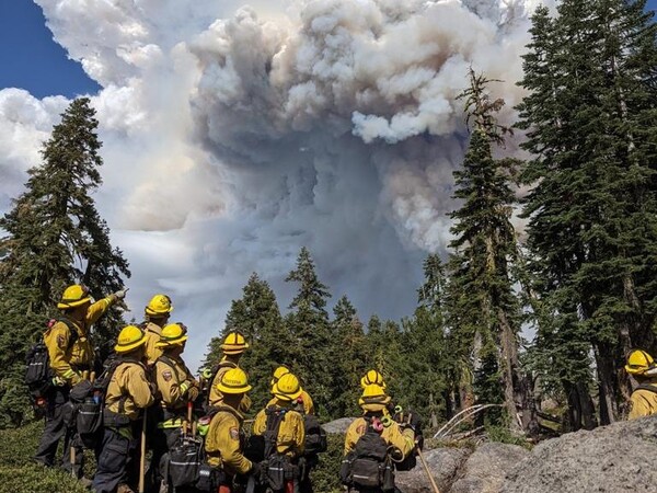 75 dixie fire 1