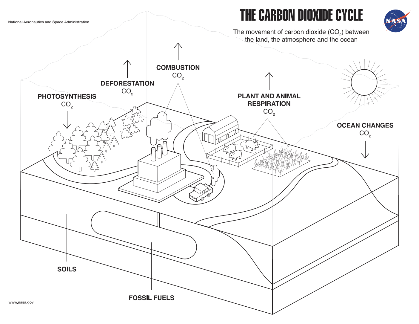 Coloring Page The Carbon Dioxide Cycle Climate Change Vital Signs Of The Planet