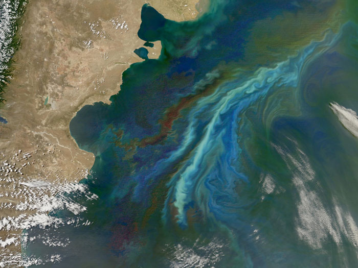 PATAGONIA BLOOMS: Off the coast of Argentina, strong ocean currents stirred up a colorful brew of floating nutrients and microscopic plant life just in time for the summer solstice. Image taken by the Moderate Resolution Imaging Spectroradiometer (MODIS) on NASA’s Aqua satellite on December 21, 2010.