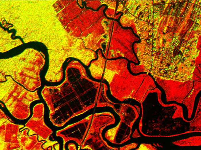 GEORGIA PATCHWORK: The history of sea islands in the Altamaha River delta on the coast of Georgia can be seen in this image. The outlines of long-lost plantation rice fields, canals, dikes and other inlets are clearly defined. Salt marshes are shown in red, while dense cypress and live oak tree canopies are seen in yellow-greens. Image taken by the Airborne Synthetic Aperture Radar (AIRSAR) on March 9, 2001.